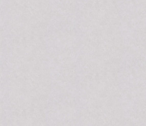 Обои Bristar Florence 9929A