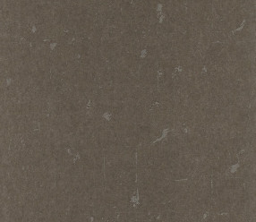 Обои Rasch Textil Tintura 227252